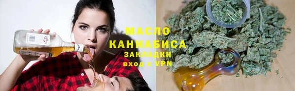 гидра Горнозаводск