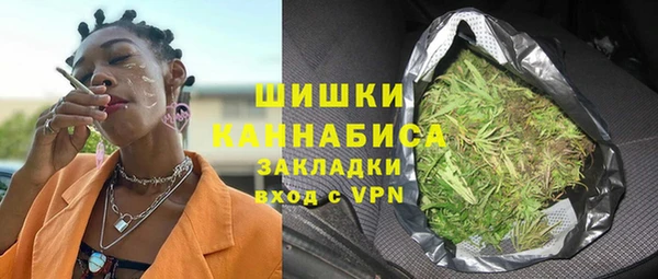 гидра Горнозаводск